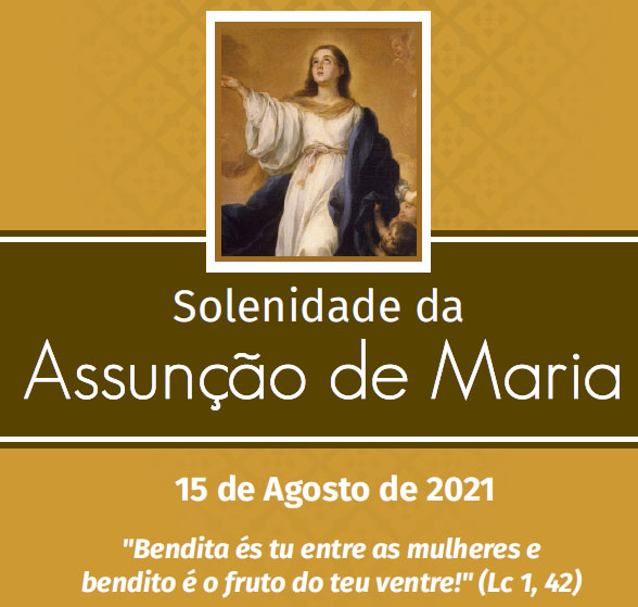capa15-08