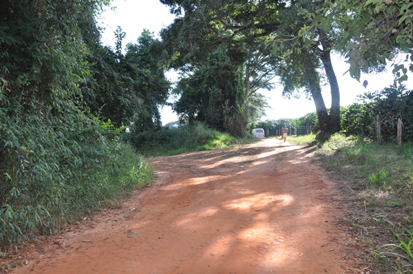 caminho2