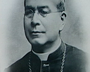 Dom João Batista Correa Nery, Bispo de Pouso Alegre (Administrador Apostólico de 1908 a 1909)